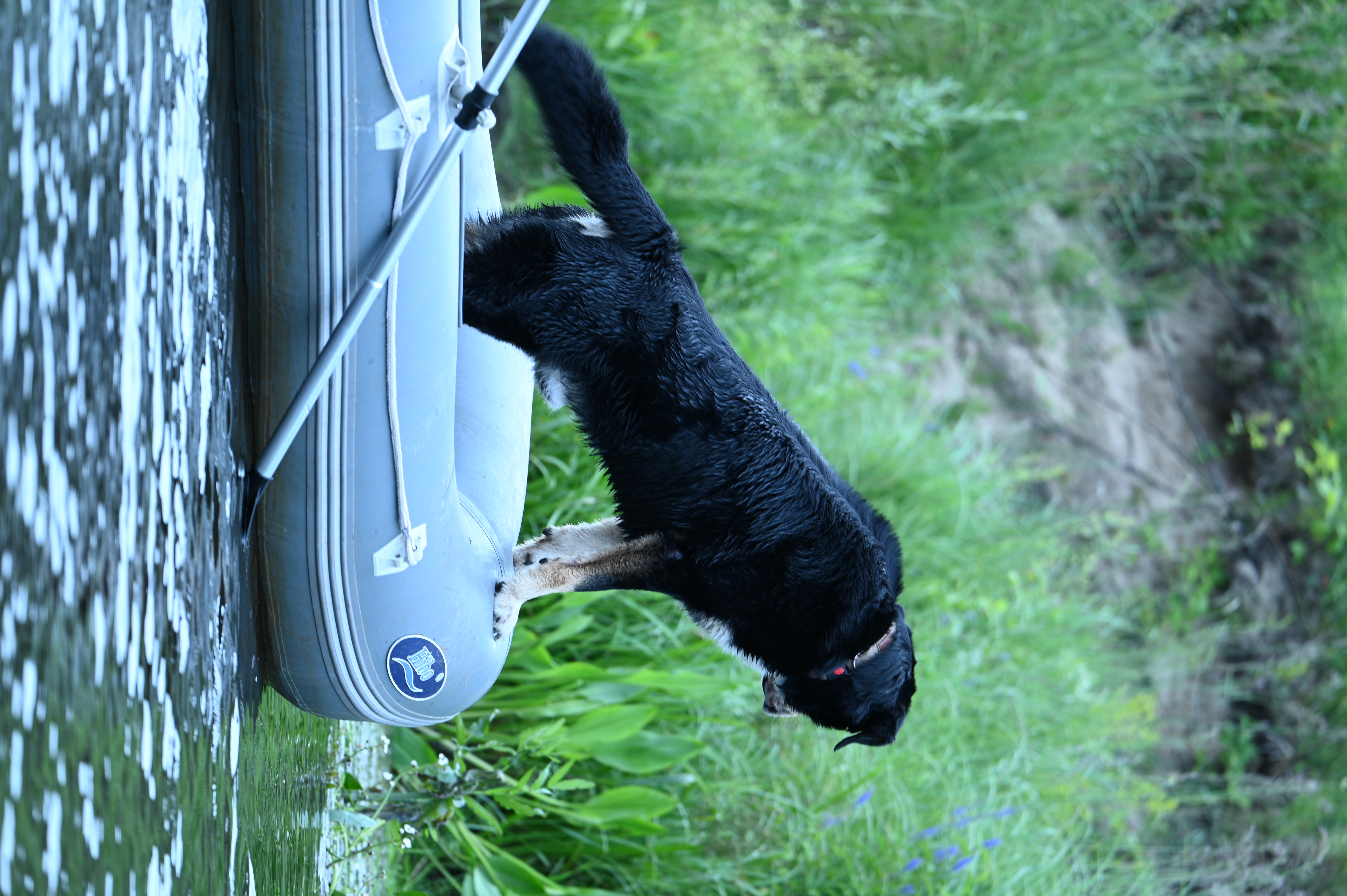 2025/07/09-14 - trip/DSC_0228.JPG